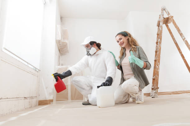 Environmental Consulting for Mold Prevention in Pueblo, CO